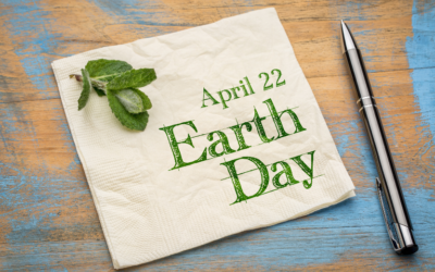 How Cleaning Chemical Manufacturers Assist Earth Day